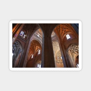 Spain. Segovia. Cathedral. Vaults. Magnet