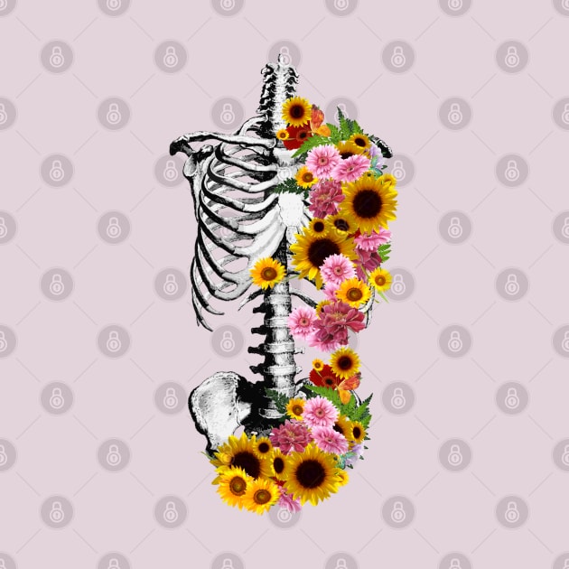 Floral Botanical anatomy, rib cage, pelvis, sunflowers, daisy, skeleton by Collagedream