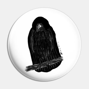 Raven in cape Pin