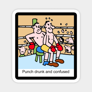 boxing012 Magnet