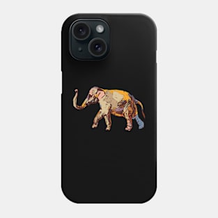 A colorful elephant Phone Case