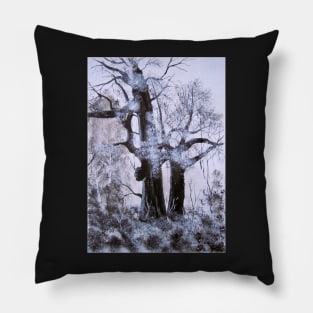 Sherwood Forest Pillow