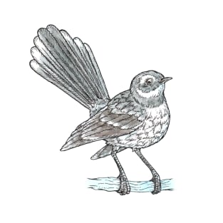 Grey Fantail T-Shirt