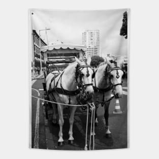 Two horses in the city Tapestry