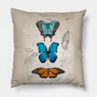 Transformation Pillow