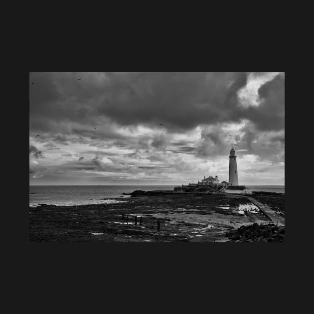 St Mary's Island in monochrome by Violaman