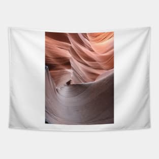 Grand canyon rocks Tapestry