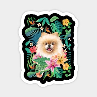 Tropical Pomeranian 5 Magnet