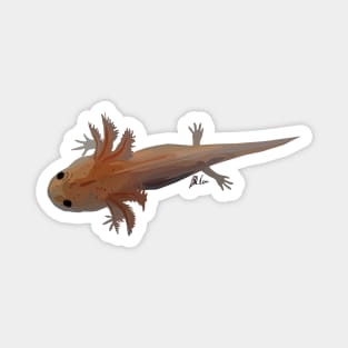 Little Axolotl Magnet