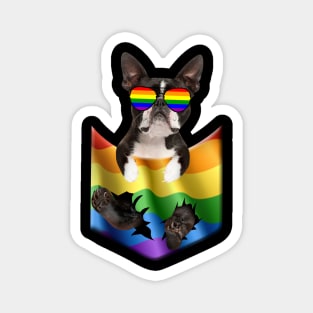 Boston terrier In Pocket LGBT Pride Flag For Dog Lovers Magnet