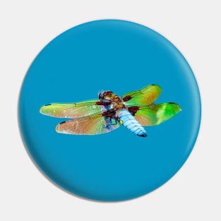 Blue Dragonfly Pin