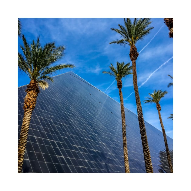 Palms Surround the Luxor - Las Vegas, Nevada by Debra Martz