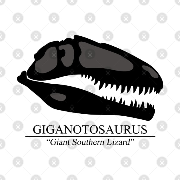 Giganotosaurus Skull by SakuraDragon