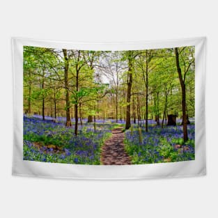 Bluebell Woods Greys Court England UK Tapestry