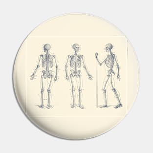 In Motion Skeletal Diagram - Vintage Anatomy Print Pin