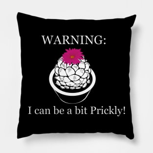 Prickly Pillow