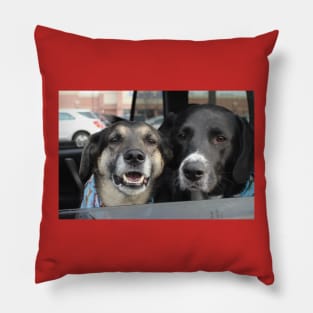 Shannon and Abby Pillow