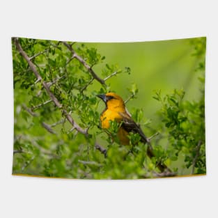 Oriole in the Greenery Tapestry