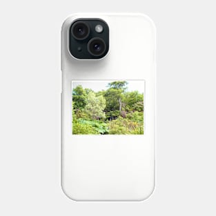 Dunvegan Castle Gardens Phone Case