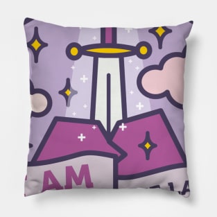 The Paladin Pillow