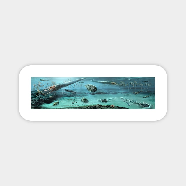 Ordovician sea, illustration (C039/0813) Magnet by SciencePhoto