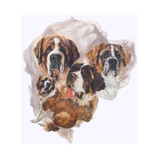 Saint Bernard Medley T-Shirt