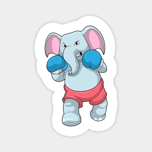 Elephant at Boxing with Boxing gloves Magnet