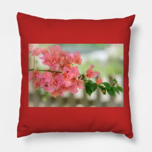 Pink Bougainvillea Pillow