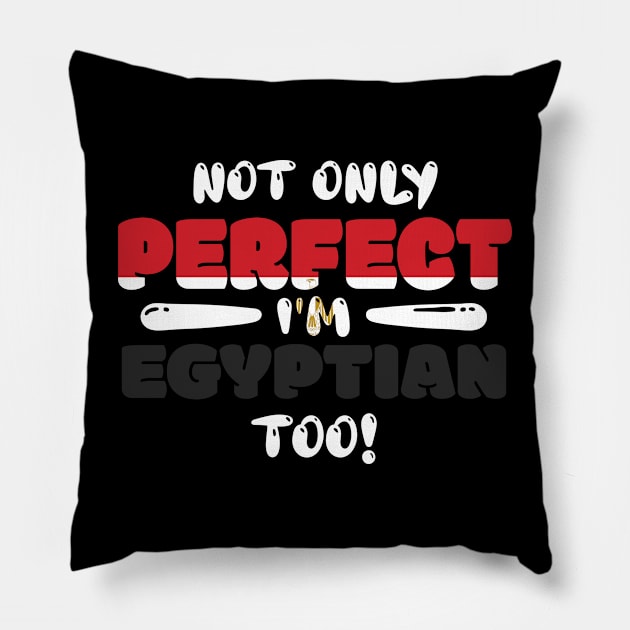 Not Only Perfect Im Egyptian Too Flag Pillow by ThyShirtProject - Affiliate