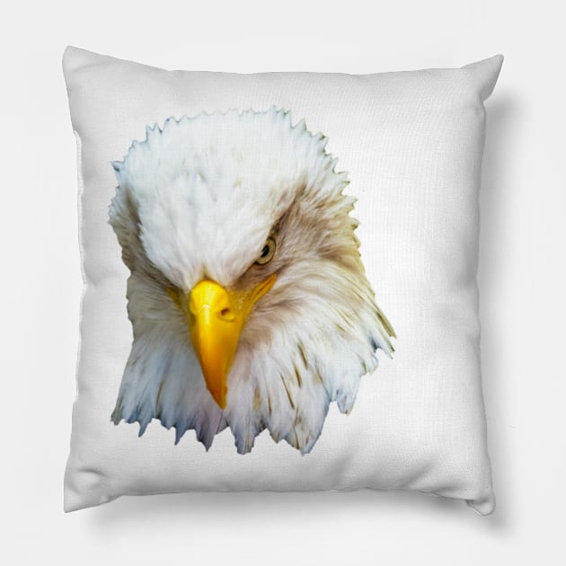 Bald Eagle looking down Pillow by dalyndigaital2@gmail.com