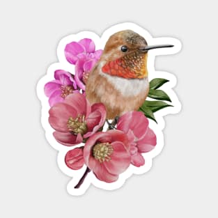 Humming bird with Sakura flowers Magnet