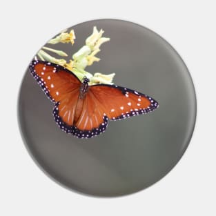 Queen Butterfly on Desert Milkweed Pin