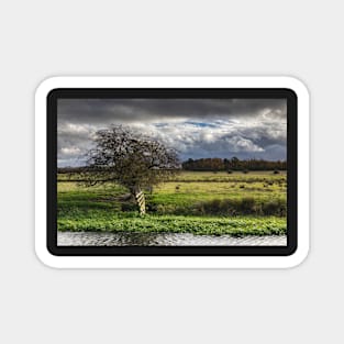 Autumn fields 2020 Magnet