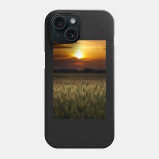 Wheat field at sunset, sun in the frame Phone Case