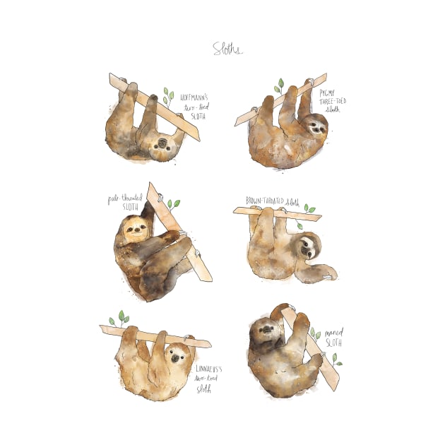 Sloths by Amy Hamilton