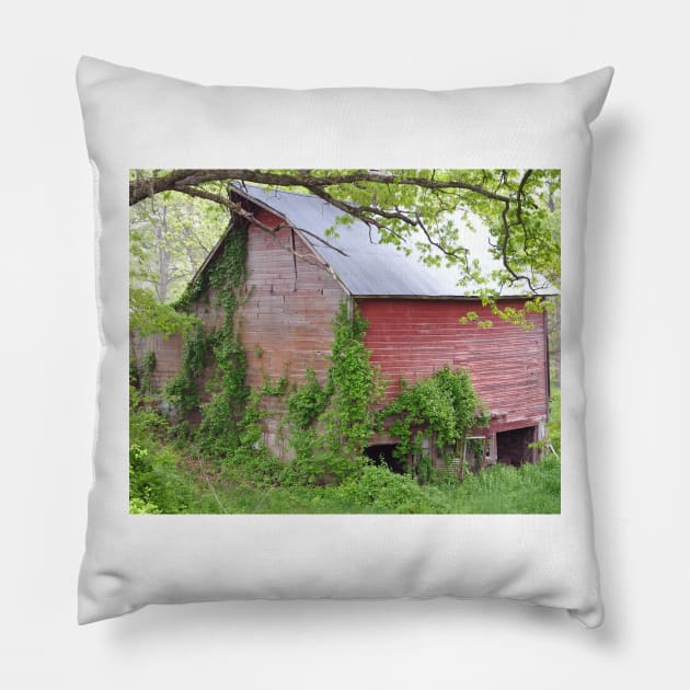 Cedar Rapids Barn Pillow by KirtTisdale