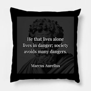 Marcus Aurelius's Observation: The Safety of Society Pillow