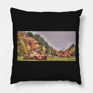 Autumn Treasure Pillow