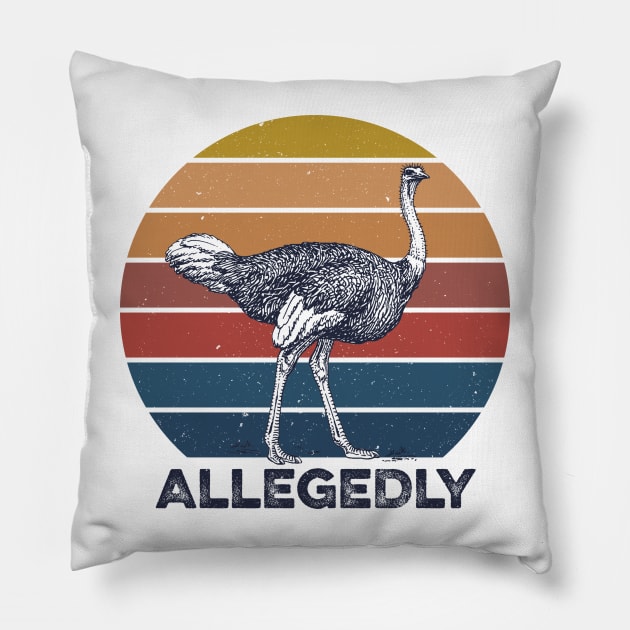 Allegedly Pillow by Sunset beach lover