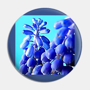 Muscari Grape Hyacinth Pin