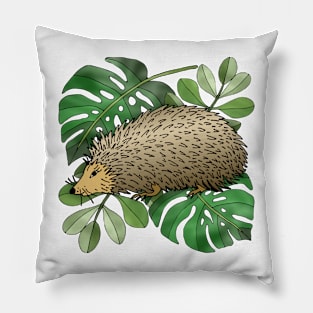 hedgehog Pillow