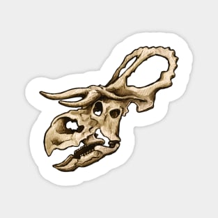 Dinosaur Skull Nasutoceratops Sticker Magnet