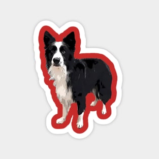 Border Collie - Just look at me! Magnet