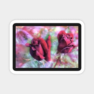 Two red roses with abstract background Magnet