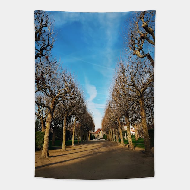 Bare trees alley Tapestry by psychoshadow