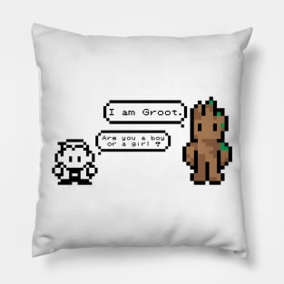 Are you a boy or a girl ? Pillow