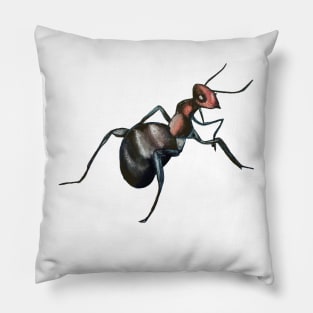 odorous ant Pillow