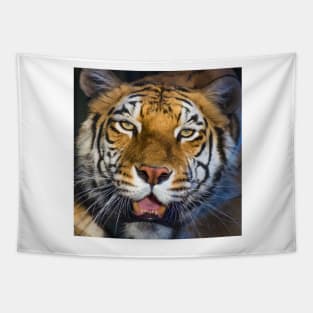 318 cinnamon tiger Tapestry