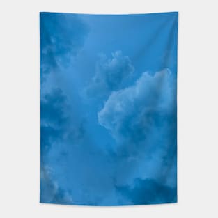 Blue Sky View Tapestry