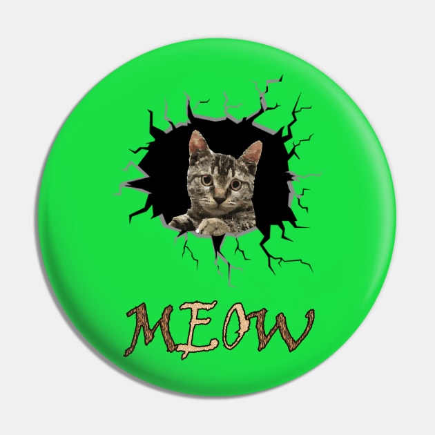 The feisty cat Pin by ImanElsaidy